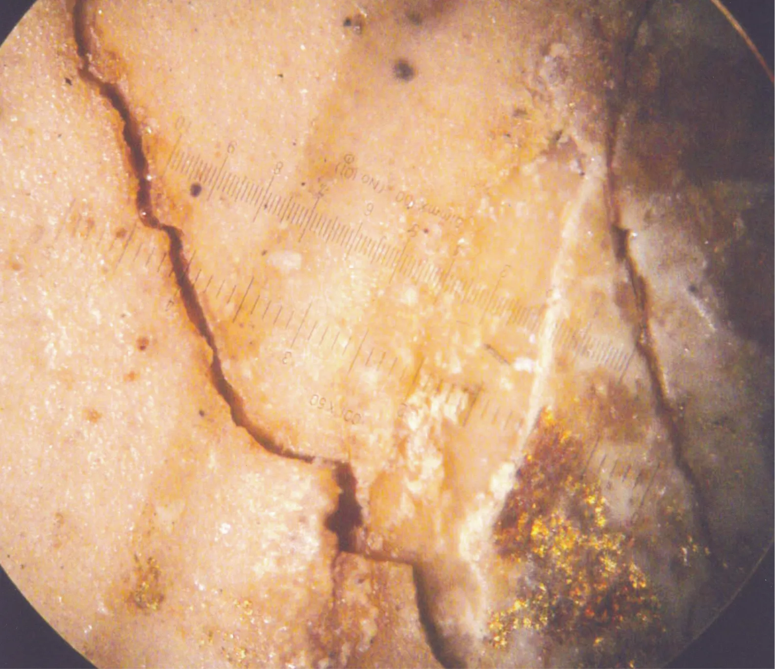 Claire Brochu Restauration De Peintures Marseille Macrophotographie De Traces Dor 3